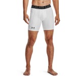 UA HG ARMOUR SHORTS