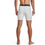 UA HG ARMOUR SHORTS
