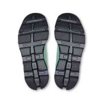 ON CLOUD MONSTER 2 WOMENS NIMBUS/ARCTIC