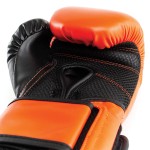 GUANTE BOX EVERLAST POWERLOCK V2 RD 16 ONZ