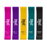 SET DE 5 MINI BANDAS EVERLAST
