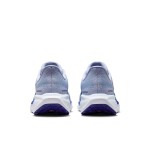NIKE AIR ZOOM PEGASUS 41 MENS GHOST/BL