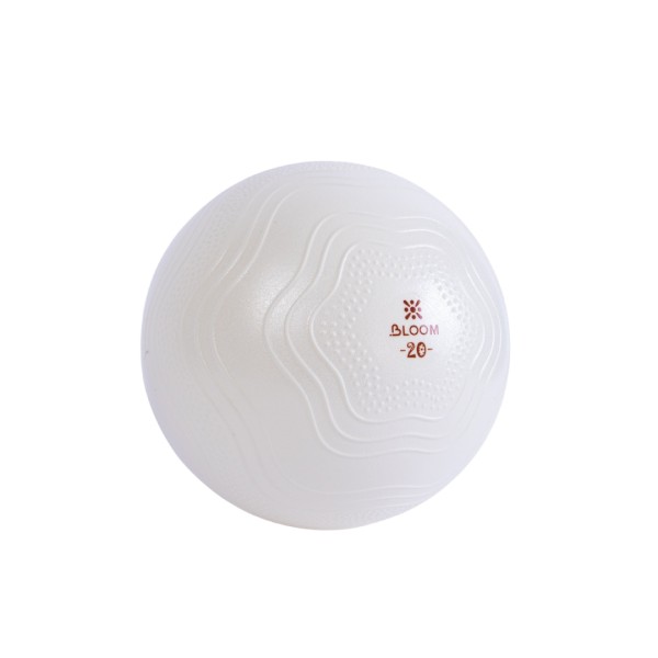 MINI PELOTA BLOOM P/PILATES 20" WT
