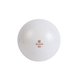 MINI PELOTA BLOOM P/PILATES 25" WT