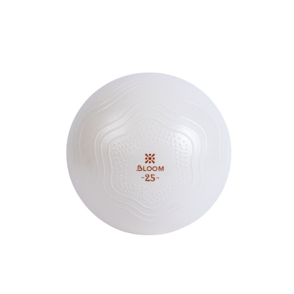 MINI PELOTA BLOOM P/PILATES 25" WT
