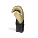 GUANTE DE BOXEO EVERLAST ELITE 2 8OZ GL/BK